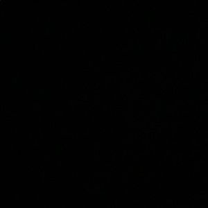 Meet your Posher, Hunter